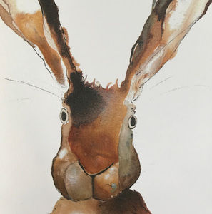 Meet your Posher, Barbara